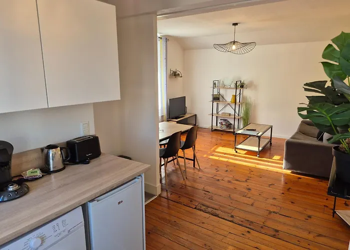 Apartament L'industriel - Centre Lourdes